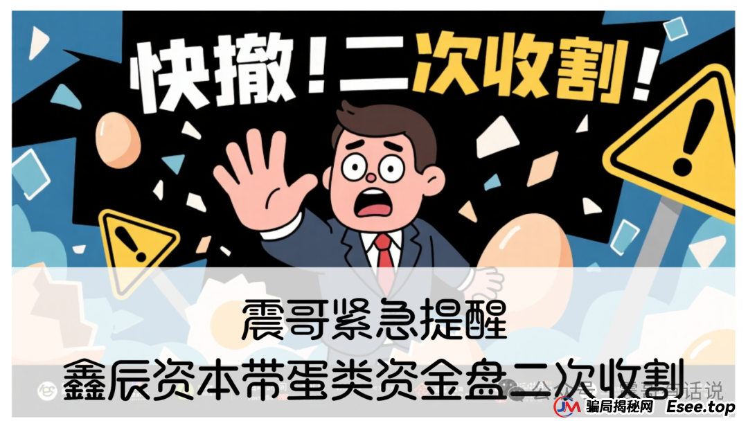 紧急提醒：鑫辰资本带蛋类资金盘二次收割，速避！