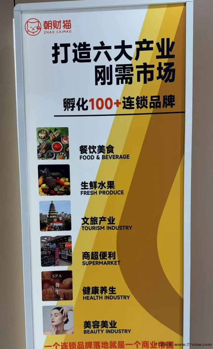 招财猫首码上线，零撸猫豆轻松薅大毛，提前锁定名额攻略！