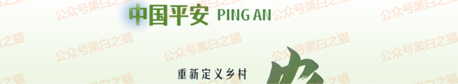 资金盘｜短命“恒力集团”返利快杀盘花样频出，参与人小心盘总一夜消失......