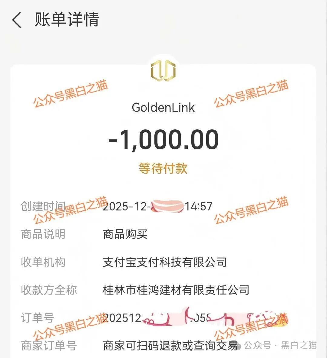 资金盘｜电诈团伙伪冒“金链资本”项目，非法敛财，揭秘国内洗钱通道......