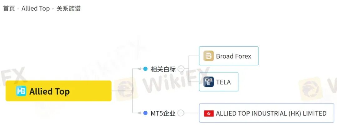 深耕国内的Allied Top平台 各种渠道“全部失联”回应客户出金问题 深耕国内的Allied Top平台 各种渠道“全部失联”回应客户出金问题